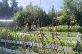 Зем.участок 10 сот